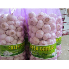Chinese jinxiang pure normal white fresh garlic